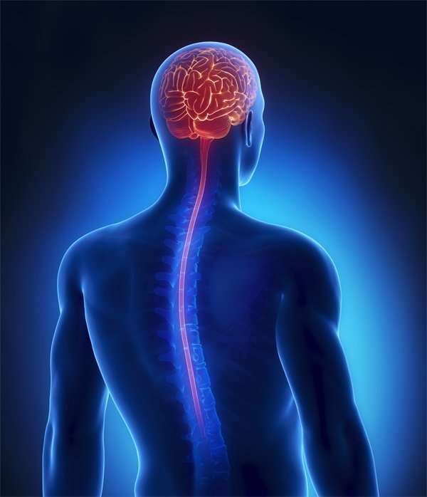 Best Brain And Spine hospital in Nagpur